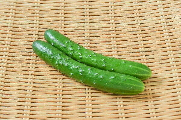 きゅうり（A2S）