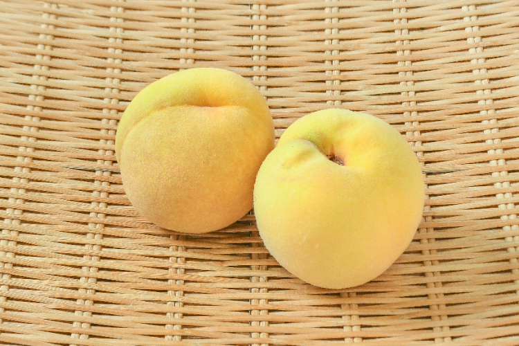 春日居の桃（加納岩白桃）（18玉サイズ）（特秀） 【業務用食材の