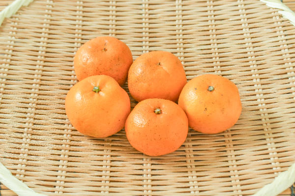 はるみ（S）500gr