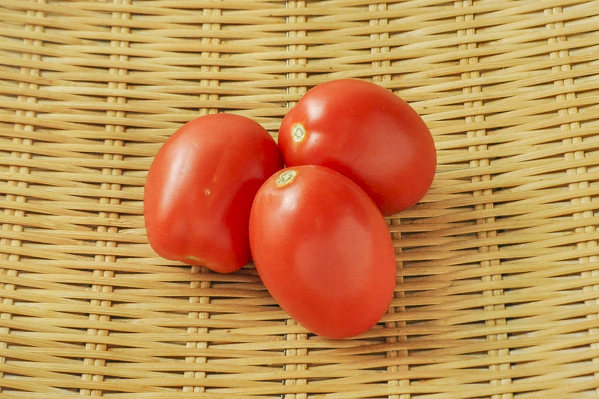 ローマトマト 八面六臂