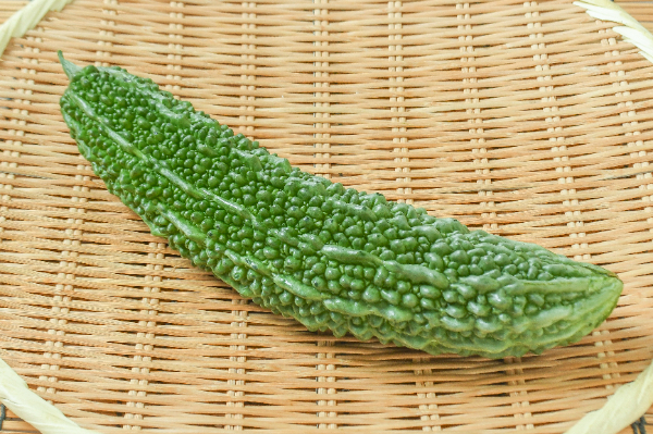 ゴーヤー（有機圃場）