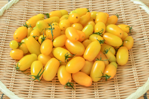 アイコトマト（黄）（A）1kg