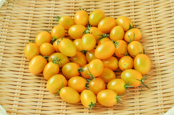 アイコトマト　黄　500g