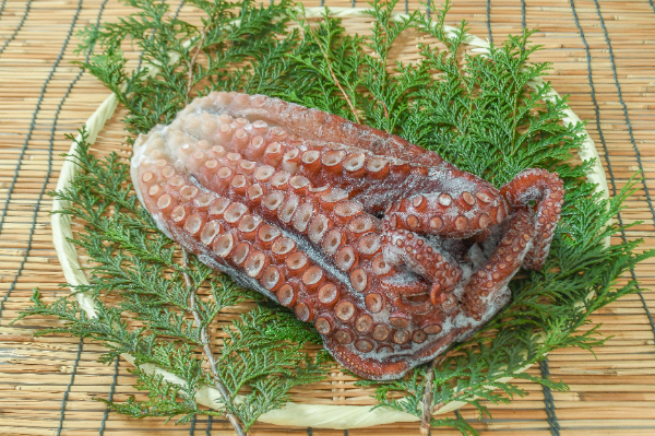 サーモン半身 タコ足２ｋ み 水タコ（北海ダコ） 【業務用食材の仕入れなら八面六臂】