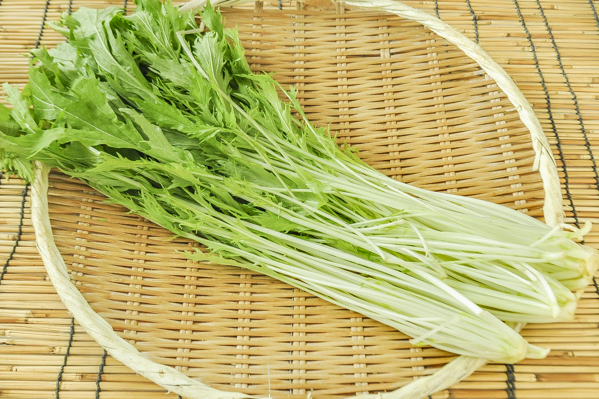 紀之国屋　水菜