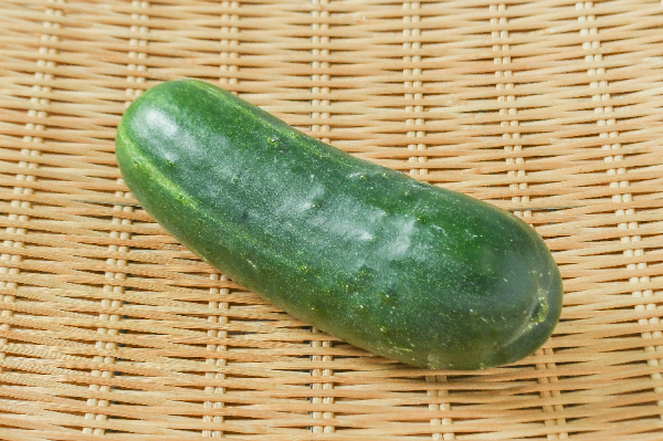 ミニきゅうり（花） 【業務用食材の仕入れなら八面六臂】