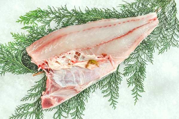 活〆神経抜きコロダイ 釣物 半身 八面六臂