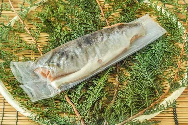 定塩鱒フィレ（甘口）230-300gr (2)