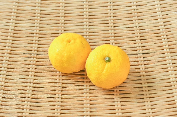 黄ゆず（24玉サイズ）