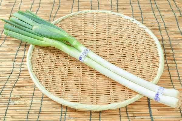 長ねぎ（L）（中国）3入