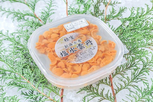 売約品♪ 青森県大間町産　塩ウニ瓶詰め　８本 青森県｜マグロだけじゃない！ 大間産ウニをぎゅっと詰めた絶品