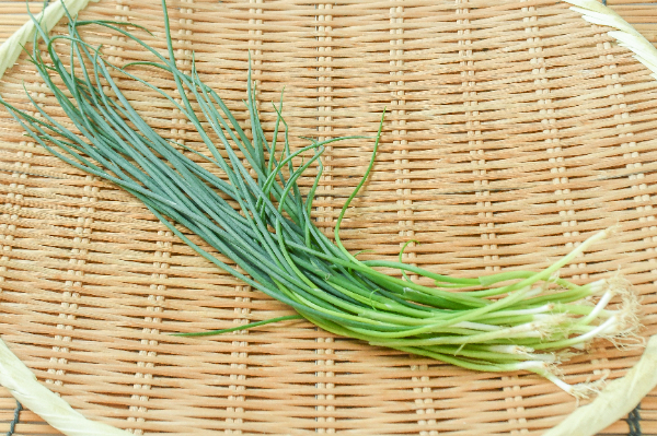 福ねぎ（ふぐねぎ）50gr