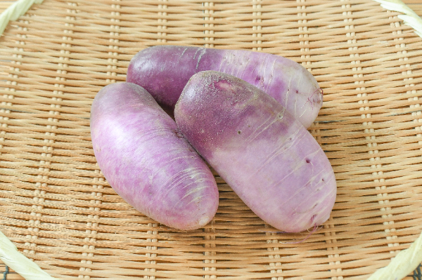 紫大根（小）1㎏