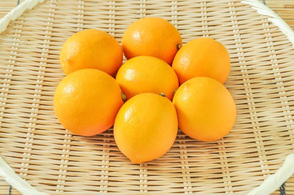 マイヤーレモン（L）1kg