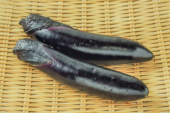 長茄子（L）
