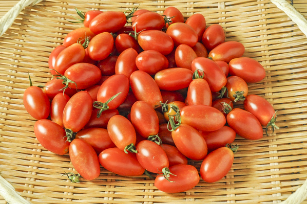 荏原　アイコトマト（L）1kg