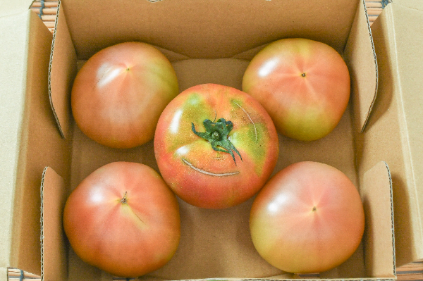 トマト（CL）（小箱）