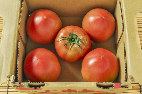 トマト（C）（小箱）