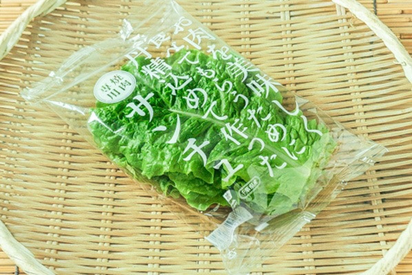 笹本農園のサンチュ