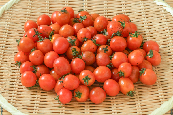 ミニトマト（加工用）1kg