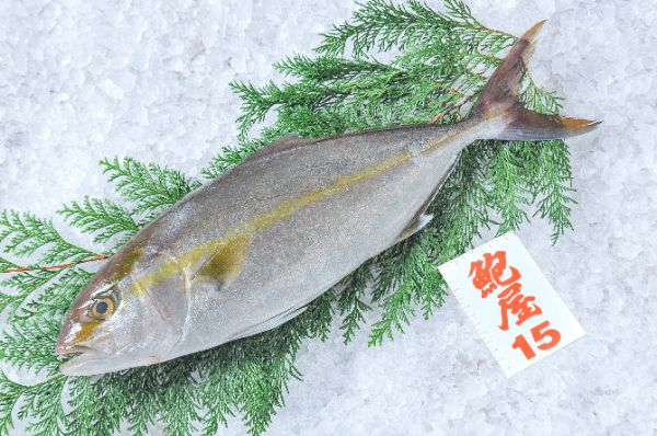 天然鮮魚 【業務用食材の仕入れなら八面六臂】