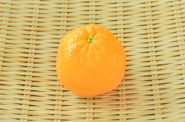 ネーブルオレンジ　72玉サイズ
