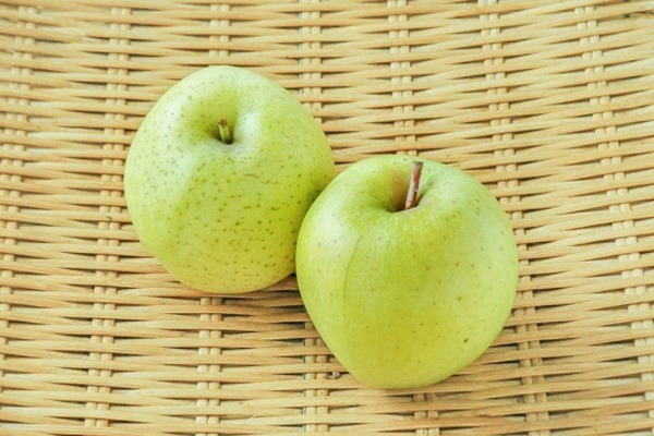 りんご（王林）（46玉サイズ）