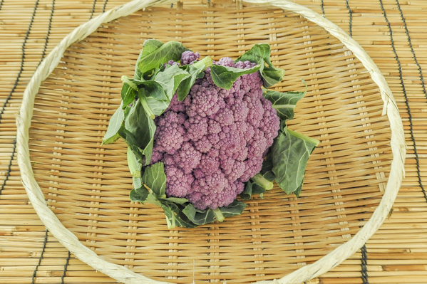 紫ブロッコリー（9玉サイズ）　