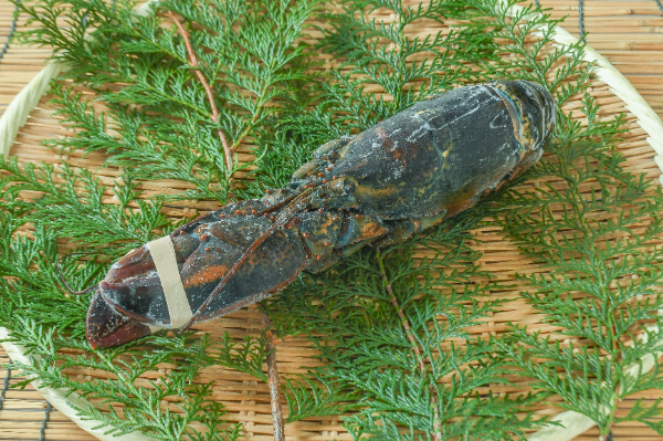 生冷オマール海老　500-600gr