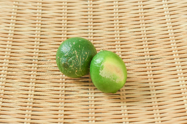 ライム（BM）