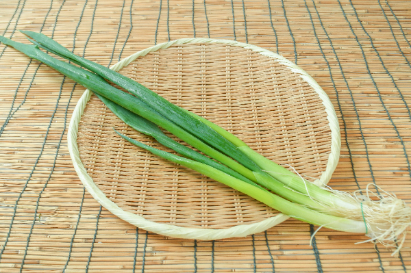 山城のねぎ（九条ねぎ）