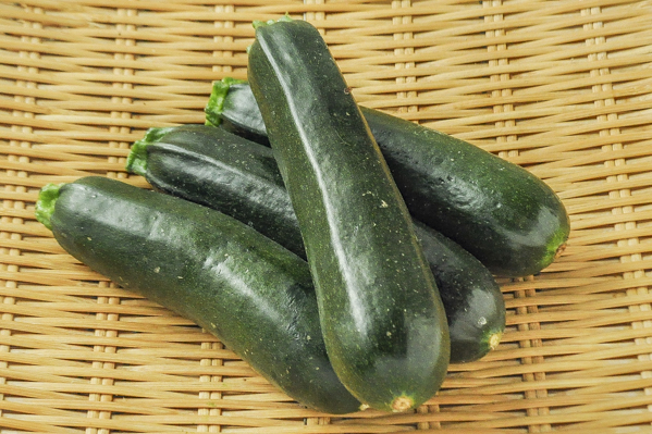 花ズッキーニ 八面六臂