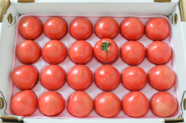 中玉トマト（濃縮トマト）（24玉サイズ）箱1kg