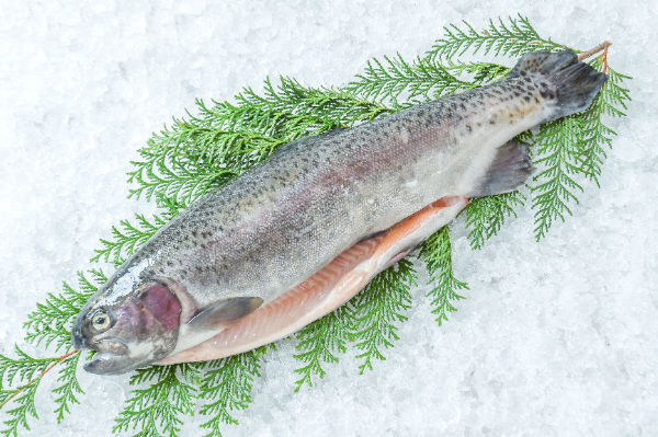 マスノスケ 11枚 天然マスノスケ 【業務用食材の仕入れなら八面六臂】