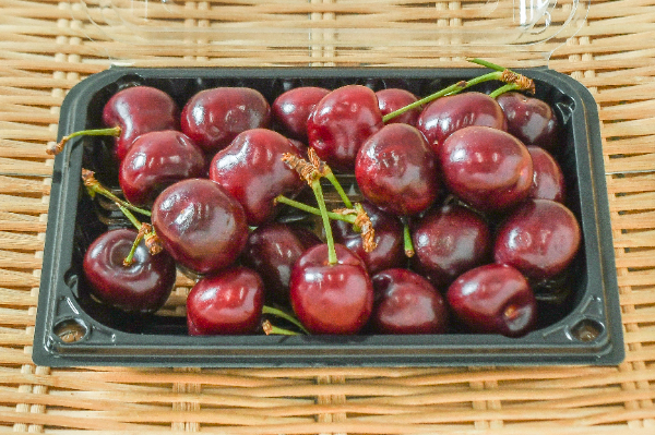 アメリカンチェリー（10rowサイズ）200gr