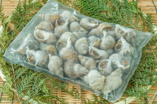 殻付きボイルツブ貝（ヨーロッパエゾバイ）（冷凍）