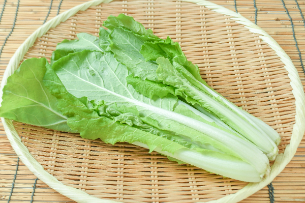 山東菜（AM） 【業務用食材の仕入れなら八面六臂】