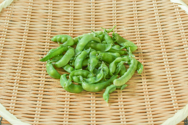 砂糖エンドウ（B）