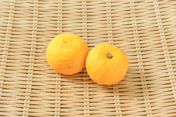 黄ゆず（18玉サイズ） 【業務用食材の仕入れなら八面六臂】