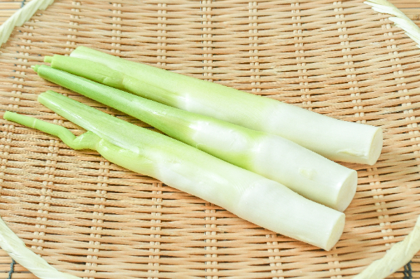 まこもだけ（S） 【業務用食材の仕入れなら八面六臂】