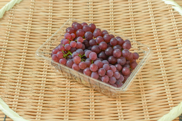 甲斐路（種あり） 【業務用食材の仕入れなら八面六臂】