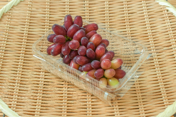 クイーンセブン（秀）300gr