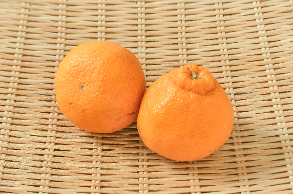 不知火（デコポン）（4L） 【業務用食材の仕入れなら八面六臂】