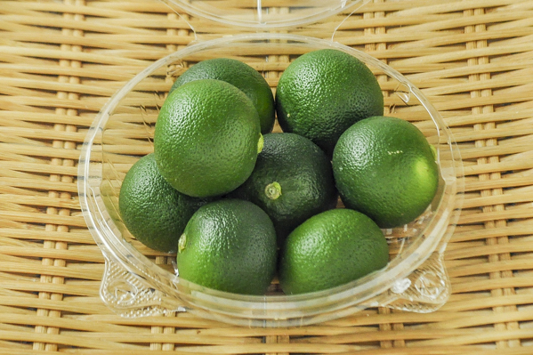 すだち さなみどり 八面六臂