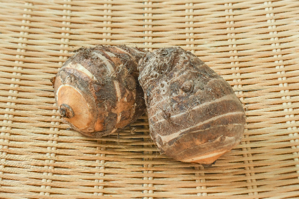 海老芋（丸L）（17玉サイズ）