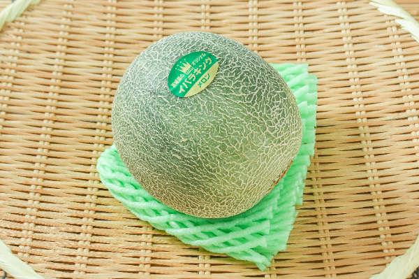 イバラキング（L大）