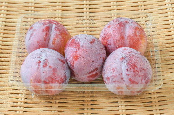 サンローゼス（3L）（秀）5入