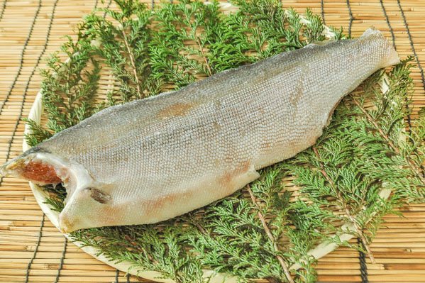 （マルイチ水産株式会社）定塩紅鮭フィレ（甘口）（B品） 9.9-1.1kg (1)