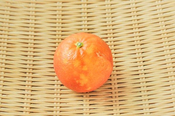 ブラッドオレンジ（2L）（秀）
