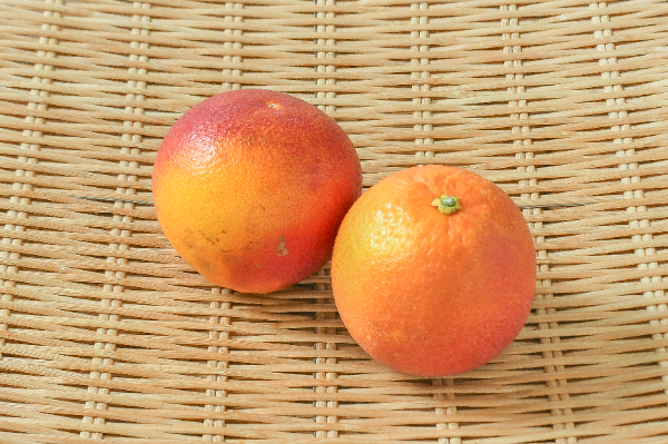 ブラッドオレンジ（3L）